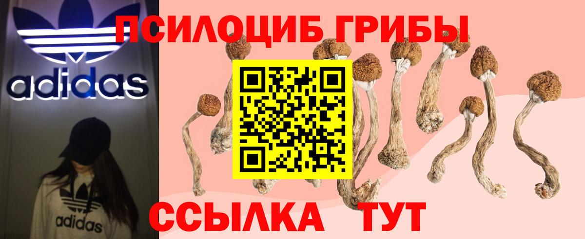 Псилоцибиновые грибы мицелий Сердобск